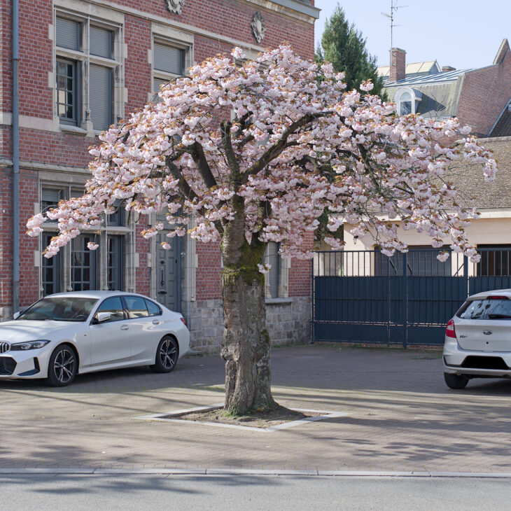 Douai. Nature en ville.